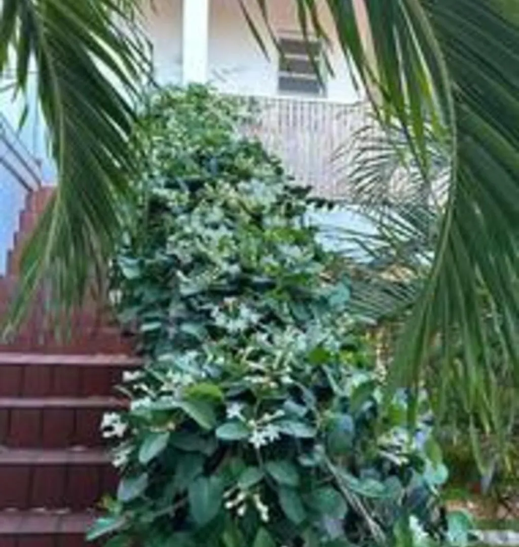 Guest house La Terrazza Hotel Cedar Grove